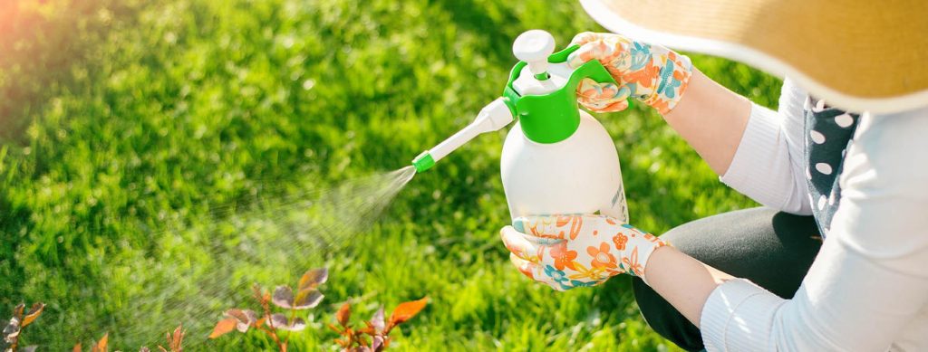 Pest Control Service